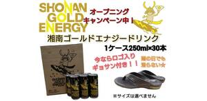 [ Odawara departure!] Shonan Gold energy drink 250ml×30ps.@gyo sun attaching!