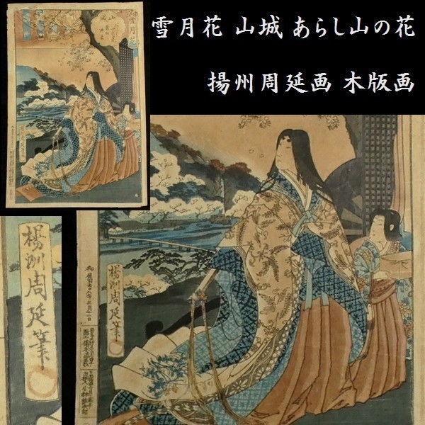 c0320 雪月花 山城 岚山之花 阳秋宗 浮世绘 木版画 美人像, 绘画, 浮世绘, 印刷, 一位美丽女人的画像