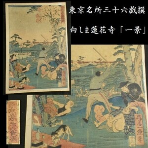 c0322 東京名所三十六戯撰 向しま蓮花寺 「一景」画　名所絵 浮世絵 木版画 風景画