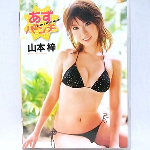 『 山本梓 / あずパンチ 』DVD　グラビアアイドル