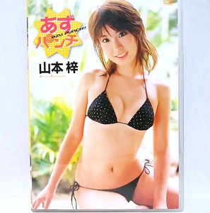 [ Yamamoto ./.. дырокол ]DVD bikini model 