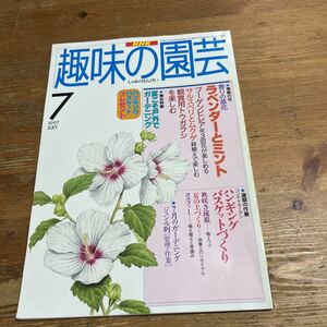 NHK хобби. садоводство 1997 год 7 месяц номер лаванда . мята b-gembi редкость б/у товар 