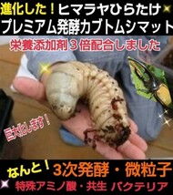 【2セット】20リットル特大ケース入り！プレミアム3次発酵カブトムシマット　幼虫を入れるだけ　便利です！　深いので大型成虫羽化できる　_画像5