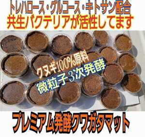 クワガタの初令、2令幼虫の小分けに便利！孵化したらまずはこれに！　プリンカップ入りプレミアム3次発酵マット　微粒子で食べやすい！