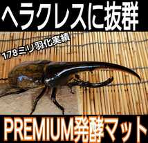 カブトムシ幼虫を入れるだけ！便利です！プレミアム発酵マット4400mlケース入り　　微粒子3次発酵！栄養添加剤・共生バクテリア３倍配合！_画像5