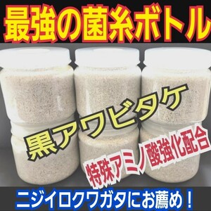 極上！黒アワビタケ菌糸瓶　特殊アミノ酸強化配合！　ニジイロクワガタ、色虫、オオクワガタやヒラタ、ノコギリの初令、2令にもお薦めです