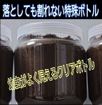 クワガタ幼虫を入れるだけ！便利です！800ml クリアボトル入りプレミアム3次発酵マット【3本】ミヤマ、ノコギリにお薦め！トレハロース強化_画像5