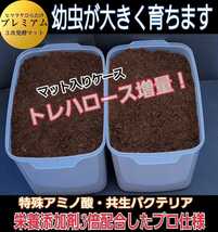 カブトムシ幼虫を入れるだけ！便利です！プレミアム発酵マット4400mlケース入り　　微粒子3次発酵！栄養添加剤・共生バクテリア３倍配合！_画像3