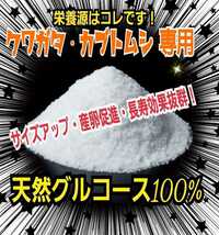 クワガタ・クワガタの栄養源はコレです！　グルコース　　サイズアップ、産卵数アップ、長寿効果抜群！マットや菌糸・ゼリーに混ぜるだけ_画像1