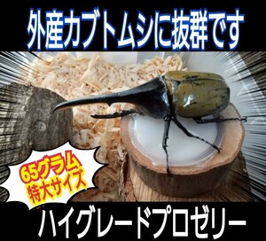 65グラム！超ビッグサイズ！ハイグレードプロゼリー特大サイズ30個　ヘラクレスなど大型種に！産卵促進・長寿・体力増進　トレハロース増量