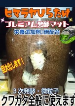 クワガタ幼虫を入れるだけ！便利です！800ml クリアボトル入りプレミアム3次発酵マット【3本】ミヤマ、ノコギリにお薦め！トレハロース強化_画像8