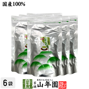 お茶 日本茶 緑茶 煎茶 ティーバッグ 5g×100p×6袋セット