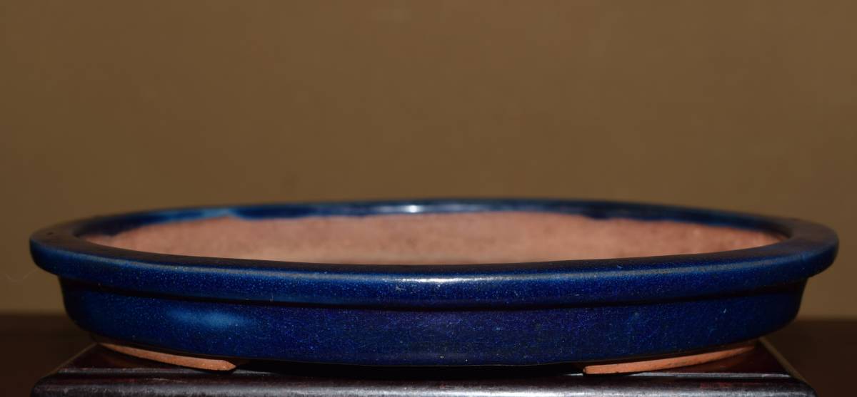 ヤフオク! -盆栽鉢 東福寺の中古品・新品・未使用品一覧