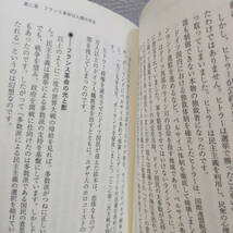 即決アリ！送料無料！ 『 日本の民主主義はなぜ世界一長く続いているのか 』■ 竹田恒泰 / 政治学 日本史 歴史_画像5