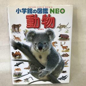 B556 動物　小学館の図鑑NEO 2002年7月20日第1刷発行 傷み、カバーヤケ汚れ有り
