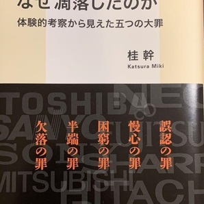 日本の電機産業はなぜ凋落したのか 体験的考察から見えた五つの大罪 桂幹
