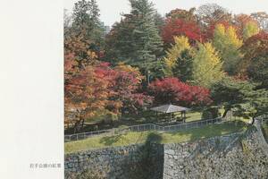 ☆◎ 盛岡 ◎【岩手公園 の紅葉】◇絵葉書◇岩手県◇街並◇