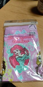  Disney Princess lunch box inserting pouch lunch pouch Sk123 new goods * unopened * prompt decision 