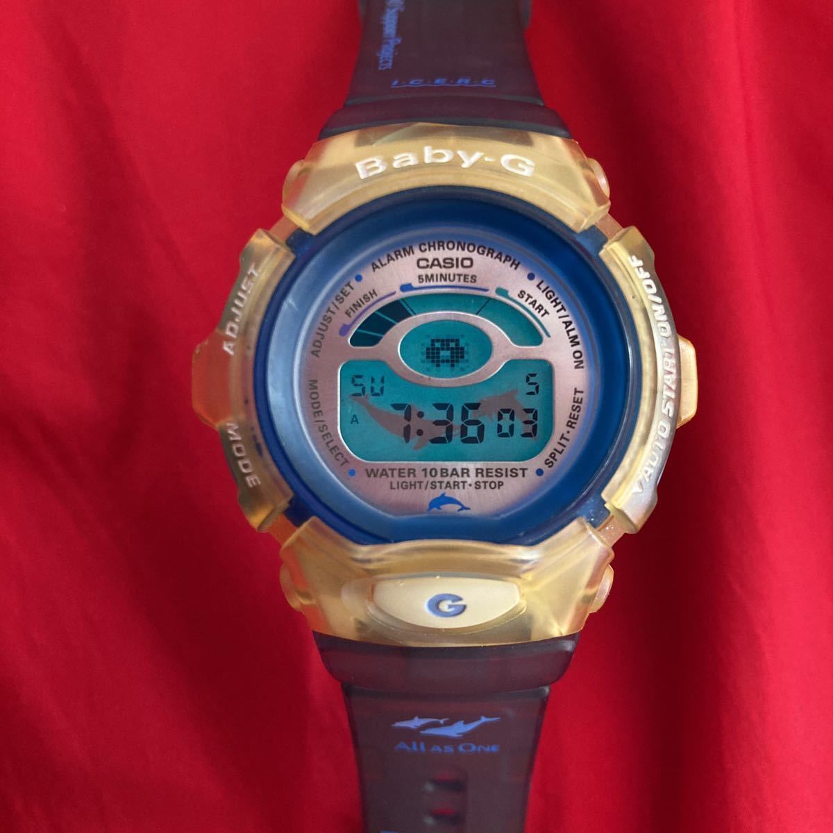 イルカクジラ BABY-Gの値段と価格推移は?|8件の売買データからイルカ