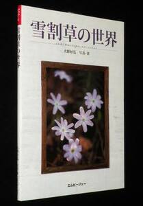 雪割草の世界　大野好弘：写真・文　アクアライフの本　2010年/雪割草の育て方/殖やし方