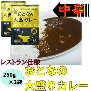 送料無料　おとなの大盛りカレー レストラン仕様 中辛 250g×2袋 レトルトカレー ポイント消化　おとなの大盛カレー