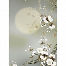 ◆新品 緒方葉水『夜桜（尺三立）』高精彩工芸画 掛軸 掛け軸 納 静物画 花鳥 植物 桜 櫻 さくら サクラ 月夜【SAK-MA2-010】_画像1