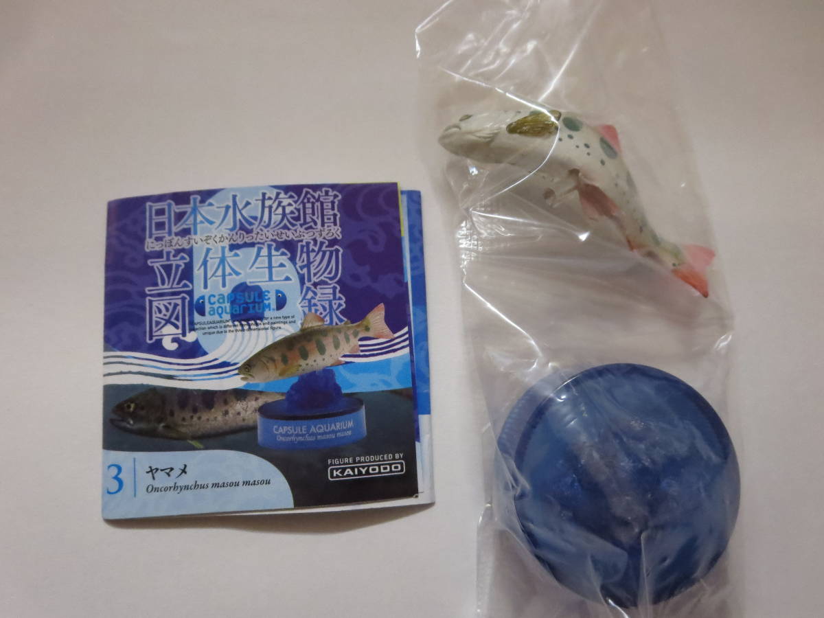 激安大特価！】 海洋堂 日本水族館立体生物図録4 マダラヤドクガエル