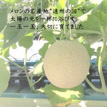 静岡県産 高級メロン 5玉　食べ頃4月7日頃/ご家庭用/7.0 kg以上/ 3/31出荷 1_画像5