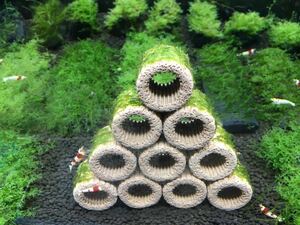 *0 free shipping BIG filter media 10 piece ja Ian to South America Willow Moss attaching 