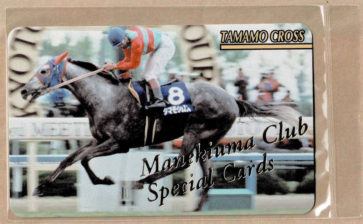 タイムセール!】 まねき馬 レインボーカード コントレイル 菊花賞 三