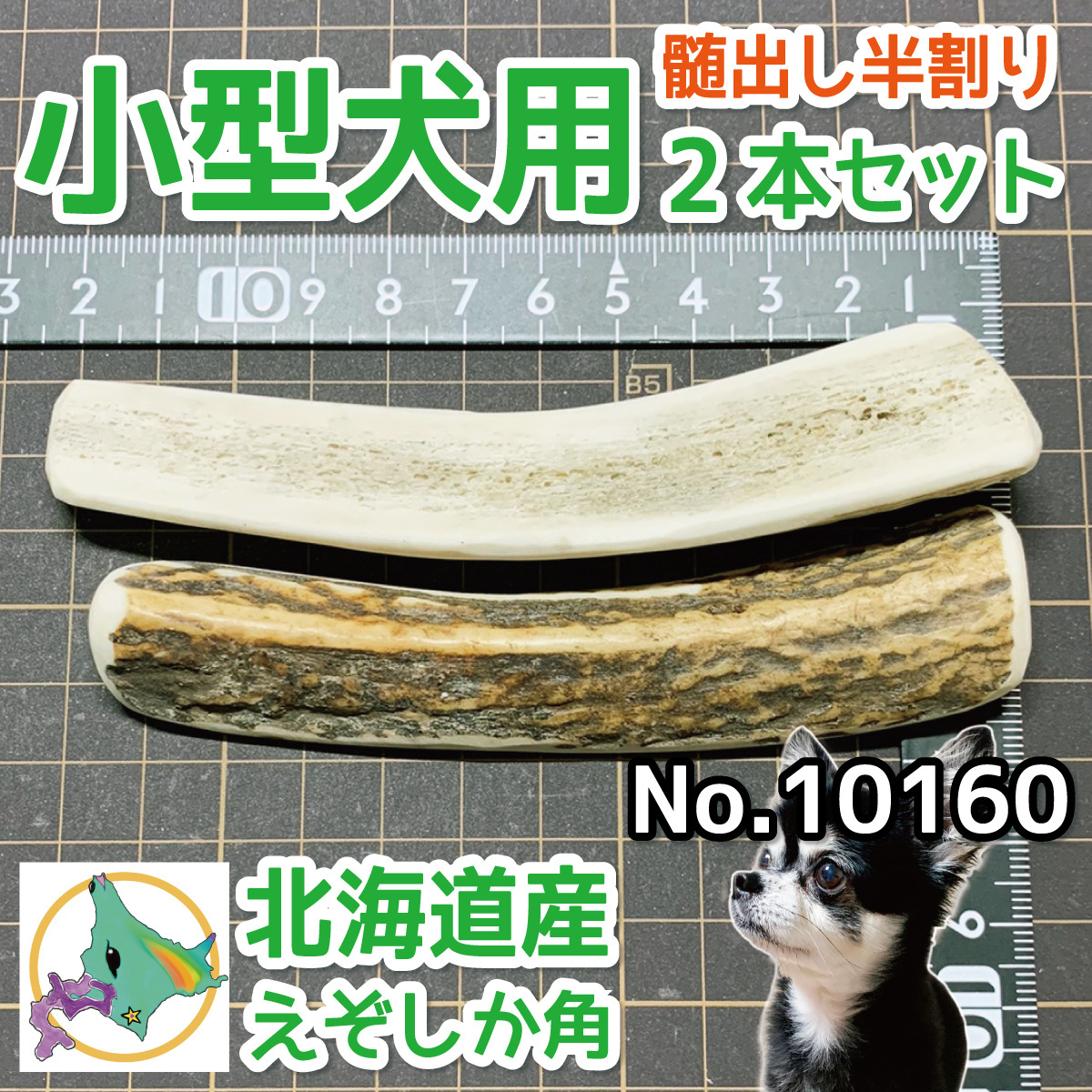 ヤフオク! -北海道 鹿の角の中古品・新品・未使用品一覧