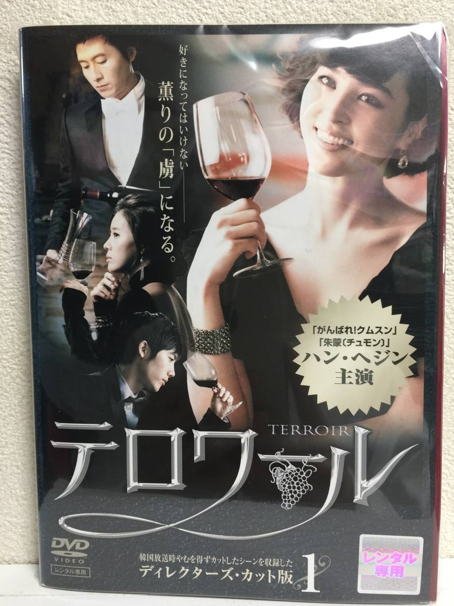 安い購入 韓国ドラマ テロワール DVDボックス1 2セット品 ハン ヘジン 