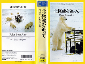 ◆中古VHS◆ナショナル・ジオグラフィック『北極熊を追って』(1982)◆総合監修:竹内均◆ナレーション:矢島正明