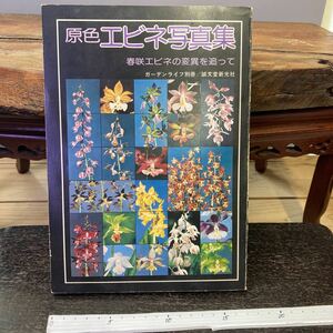 古書『原色エビネ写真集』誠文堂新光社　【すずき園芸】