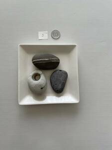 Art hand Auction 3 seastone stone, handmade works, interior, miscellaneous goods, ornament, object