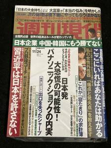 【303】新品 週刊現代 2012.11/24 市川由衣/吉田沙保里/大竹一重