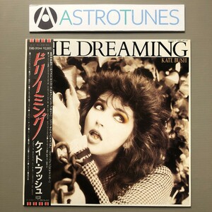 傷なし美盤 美ジャケ ケイト・ブッシュ Kate Bush 1982年 LPレコード ドリーミング The Dreaming 国内盤 帯付 Pop rock David Gilmour