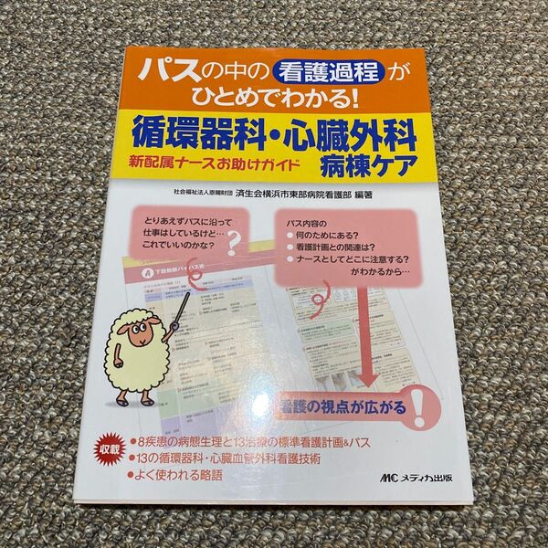 パスの中の看護過程がひとめでわかる！循環器科・心臓外科病棟ケア　新配属ナースお助けガイド （パスの中の看護過程がひとめでわかる！）