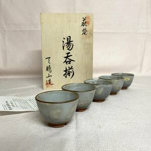 萩焼　湯呑揃　天鵬山造　共箱　5客（2721）箱入り　未使用