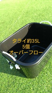 メダカ容器　約35L　5個　オーバーフロー加工