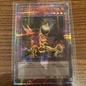 ローンファイア ブロッサム25th