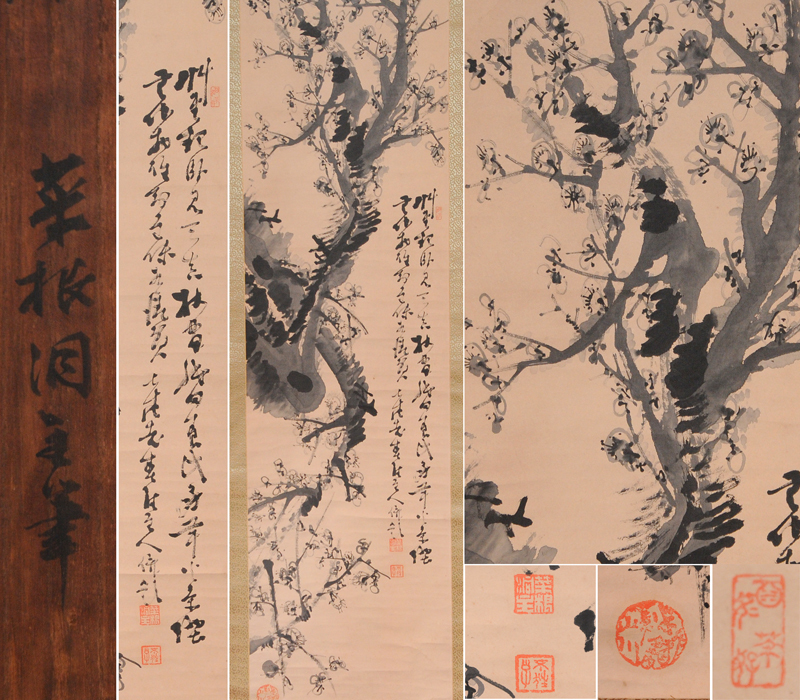 【真作】菜根洞主筆｢白梅｣画賛 軸 掛軸 箱 /古画 肉筆 山水 花鳥 鳥獣 水墨 人物 古美術 古書 掛け軸 骨董 書画 絵画 日本画 z2793o, 絵画, 日本画, 山水, 風月