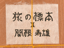 【真作】 関根寿雄 限定90部「旅の標本2」未開封 木版画13葉入 標本入り 昭和57年 木函 限定本 希少本 古書 特別装 絵画 書画 豆本　z1191o_画像3