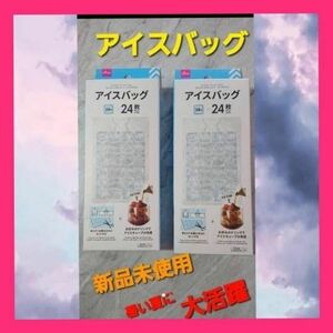 『大人気』アイスバック　ダイソー　2個セット