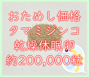 ★送料無料★タマミジンコ 乾燥休眠卵 約200000粒 10カプセル (約0.8g) 