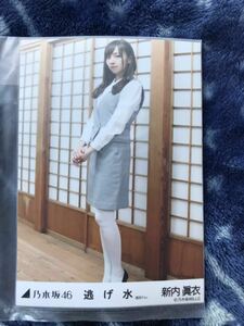 新内眞衣 乃木坂46 逃げ水 選抜ver. 生写真 個別 5枚セット コンプ