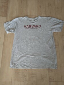 Champion HARVARD 80s Tシャツ 染み込み XXL チャンピオン ハーバード