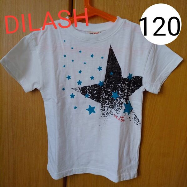 ディラッシュ　120cm　Tシャツ　DILASH　半袖Tシャツ