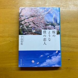 桜のような僕の恋人 （集英社文庫　う２３－２） 宇山佳佑／著