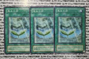 遊戯王 恵みの雨(ノーマル TB)×3枚セット